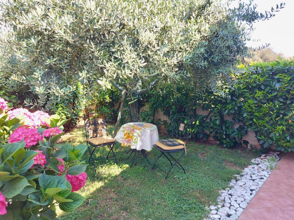 Apartament Alida