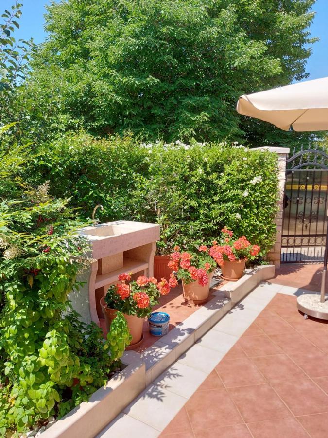 Apartament Alida *